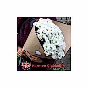  Alanya Çiçek Gönder - 11 Adet kırmızı 9 Adet ferrero çikolata