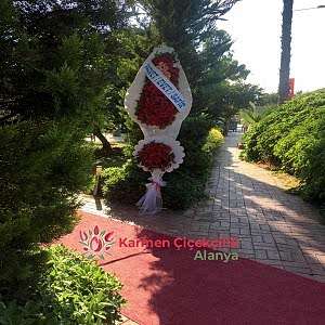  Alanya Çiçek - Dügün & Acılış Celenki