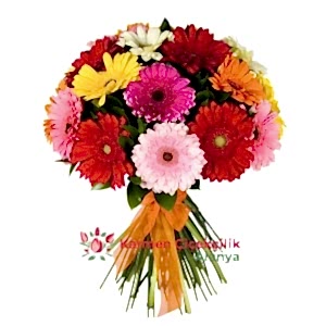  Alanya Çiçek - 15 karısık renk gerbera buketi