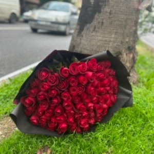 Alanya Çiçekçi - 75 ADET KIRMIZI GÜL